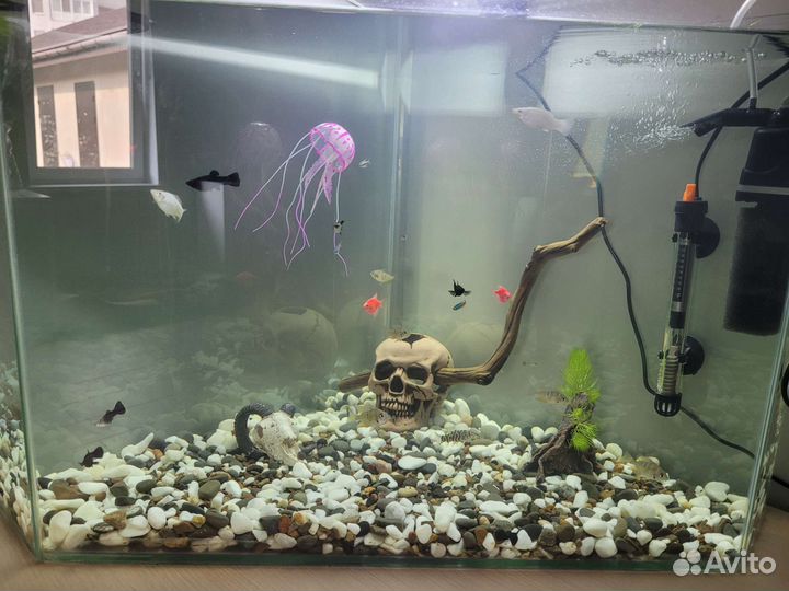 Аквариум с рыбками