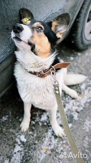 Молодой парень в добрые руки