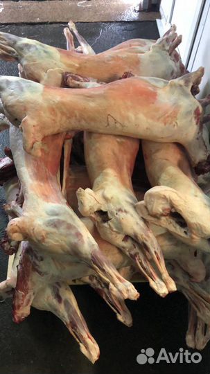 Баранина тушка халяль