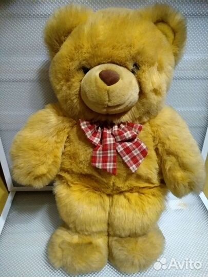 Плюшевые медведь выброс 15 июля