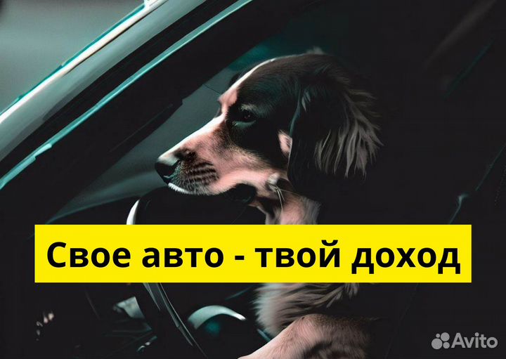 Работай в Яндекс Go на своем т/с
