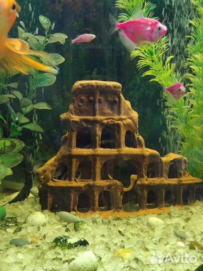 Аквариум 100л с рыбками