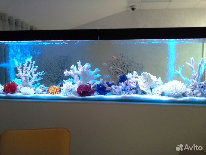 Аквариумы любых форм и размеров