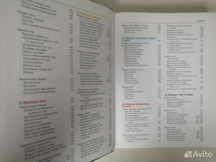 Атлас скелетно-мышечной анатомии / К. Джерми