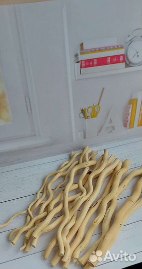 Корилус стволы для топиария