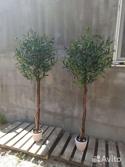 Олива искуственная с плодами. Искусственное дерево