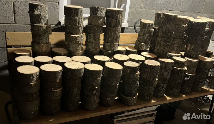 Спилы Дуба и др. породы