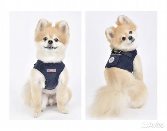 Шлейка утепленная Puppia