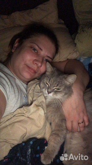 Собака на передержку, Опыт есть