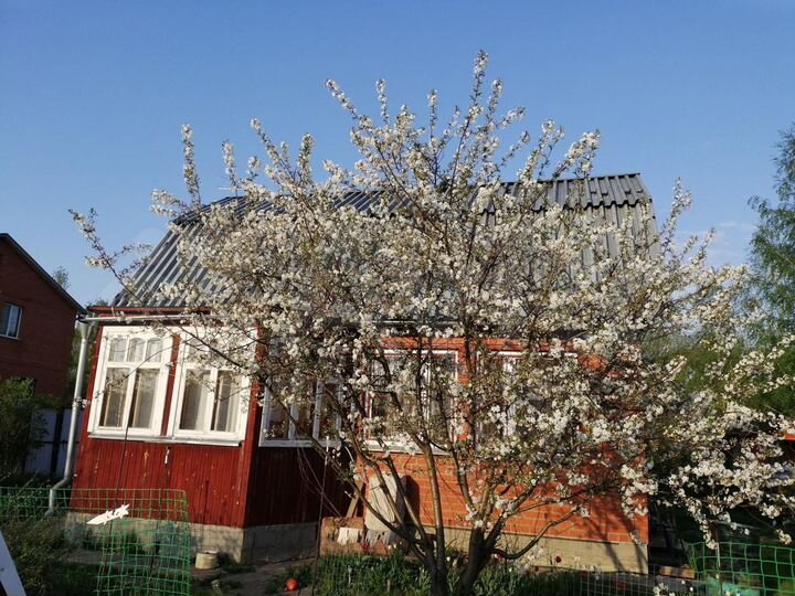 Дом 60 м² на участке 15 сот.