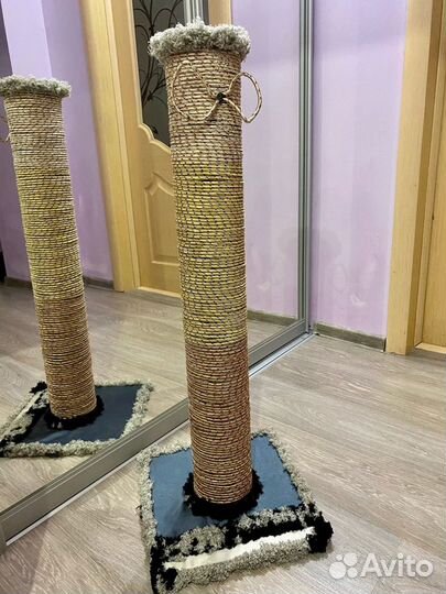 Когтеточки