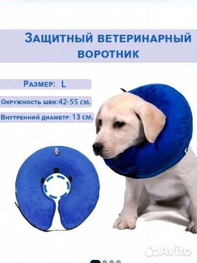Защитный воротник для собак