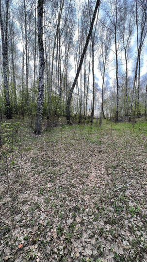 Участок 10 сот. (СНТ, ДНП)