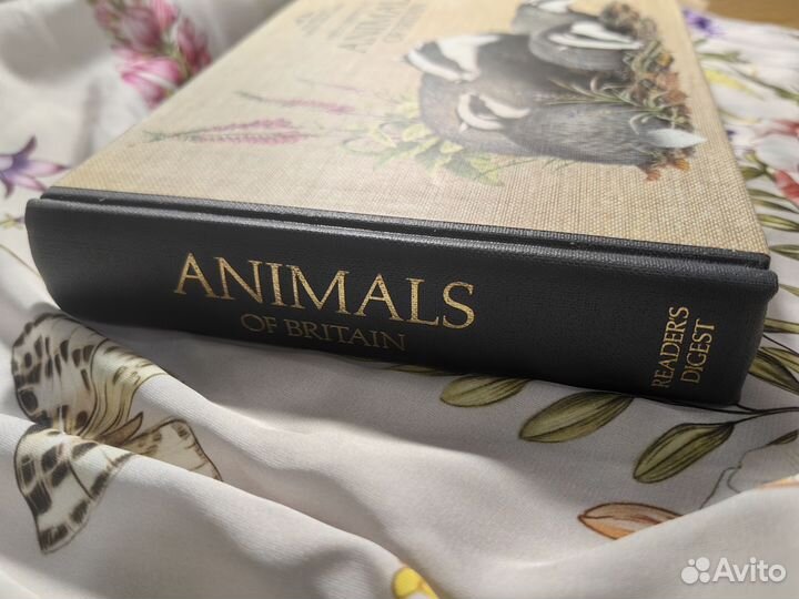Винтажные книги о природе, Англия