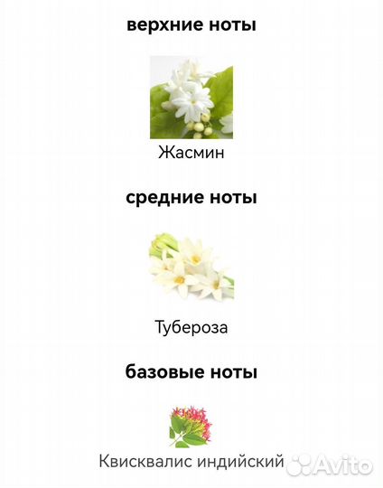 Gucci Bloom Gucci для женщин