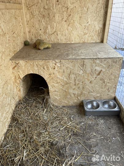 Вольер для собак