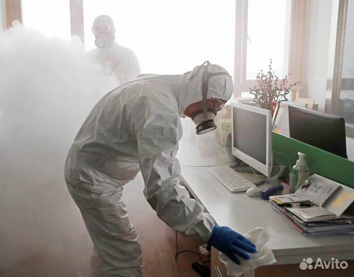 Уничтожение Клопов, тараканов, Дезинфекция
