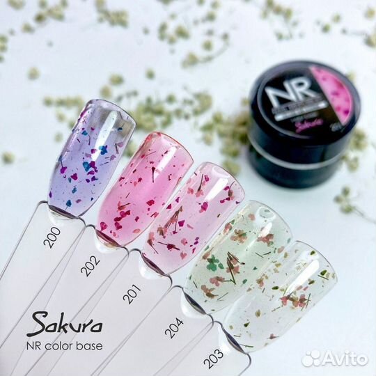 База с сухоцветами nail republic