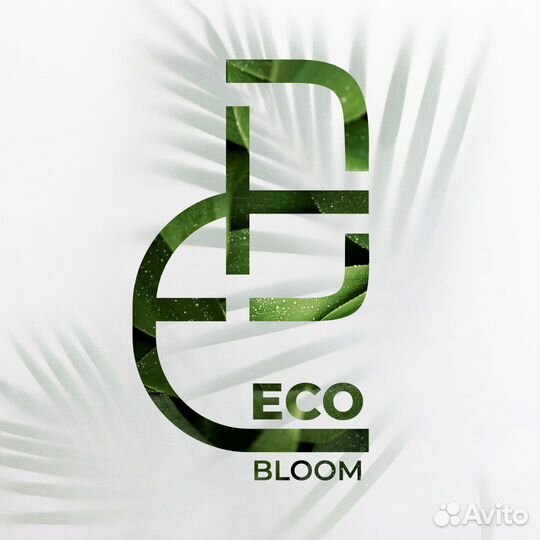 Графический дизайнер/Инфографика