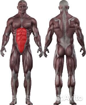 Пресс машина vertex NWS 171