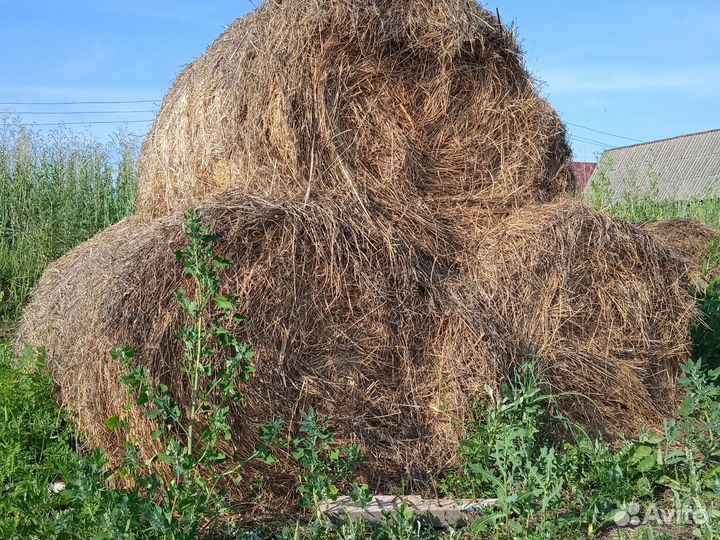 Сено в рулонах