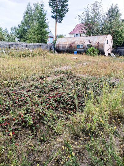 Участок 6 сот. (СНТ, ДНП)