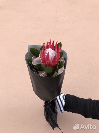 Королевская протея в стильной упаковке