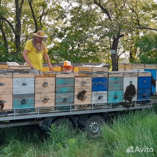 Натуральный мёд с личной пасеки
