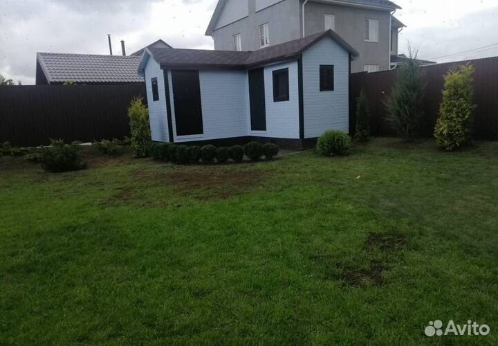 Можжевельник Блю Эрроу для живой изгороди