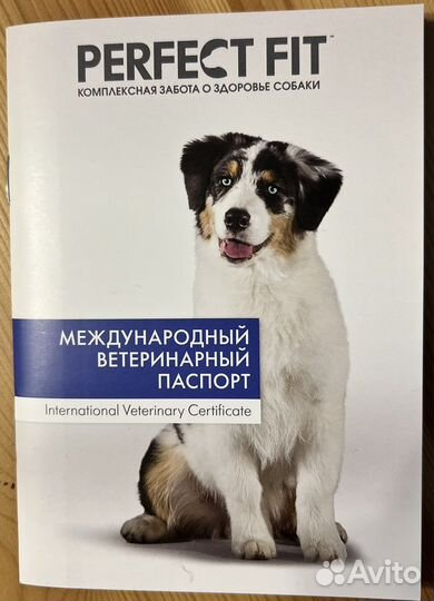 Ветеринарные паспорта для кошек и собак