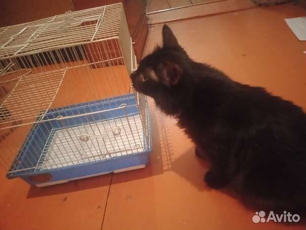 Клетка-переноска для крыс и хомяков