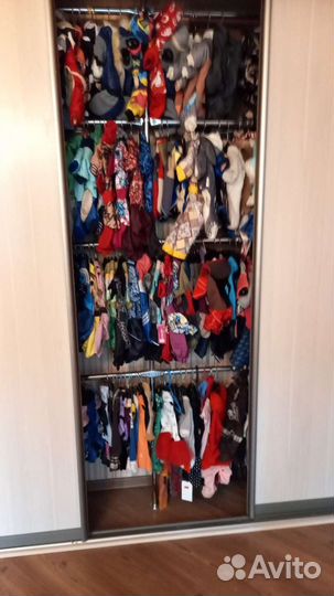 Одежда для собак