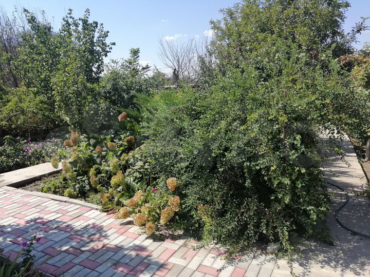 Дача 28 м² на участке 6,8 сот.