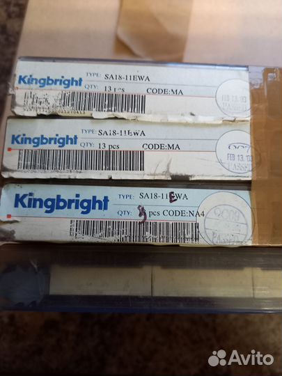 Sa18-11ewa kingbrigh