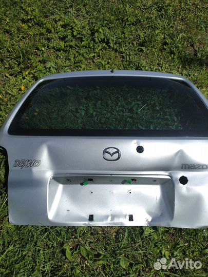 Дверь багажный