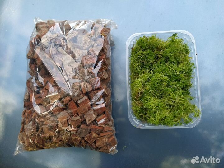 Кора сосны (мульча) и мох сфагнум для орхидей
