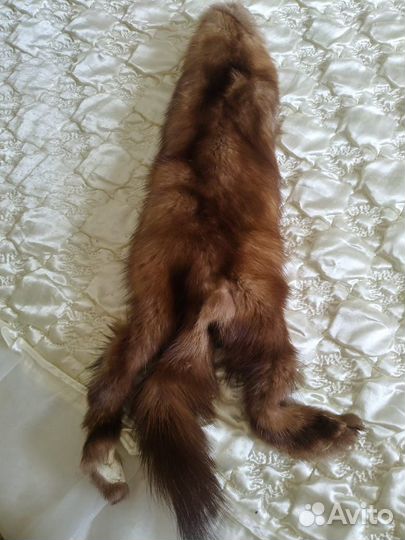Шкурка животного лисы и соболя