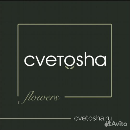 Букет из Хризантем Цветы Доставка Подольск