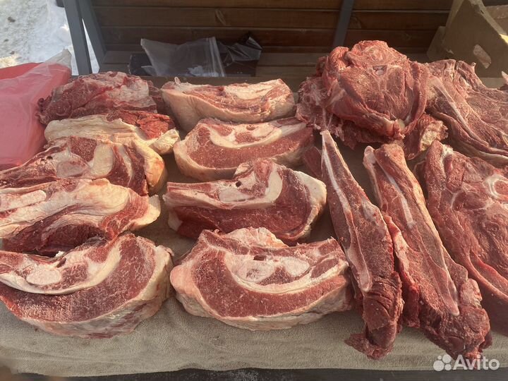 Продам Мясо говядина