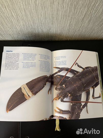 Книга Готовим с Джейми