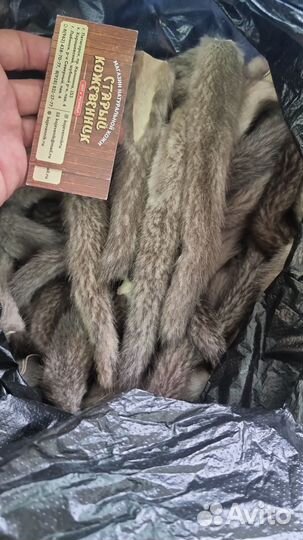 Хвосты норки