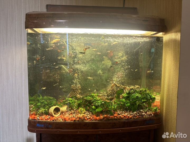 Аквариум jebo r362