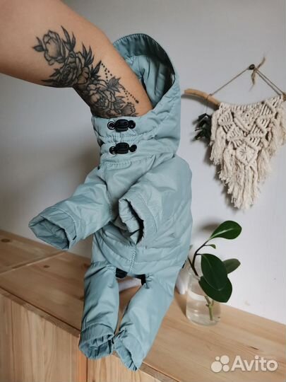 Комбинезон для маленькой собаки