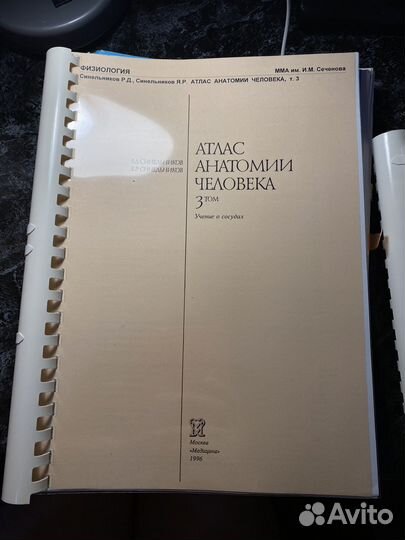 Атлас анатомии человека синельников