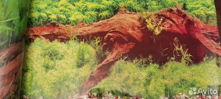 Все для аквариума