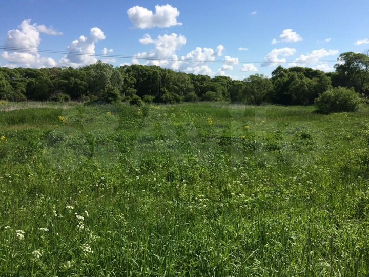 Участок 15 сот. (ИЖС)