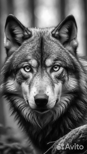 Модель на тату