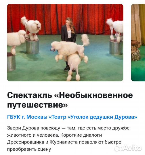 Билеты в театр 