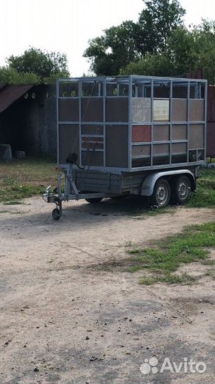 Перевозка скота