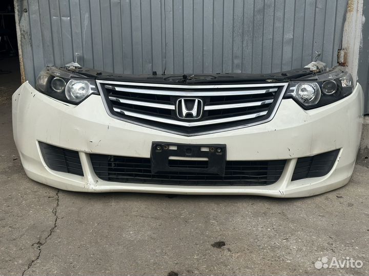 Honda accord 8 ноускат